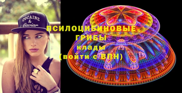 2c-b Дмитриев