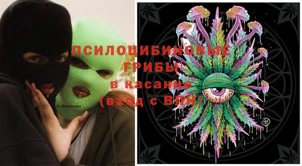 2c-b Дмитриев