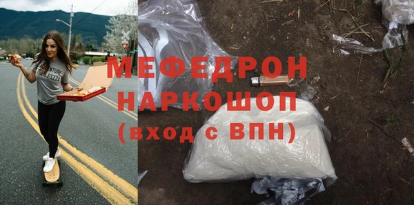 индика Туринск