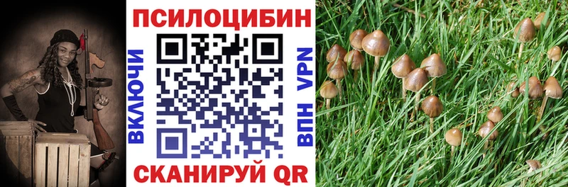 Псилоцибиновые грибы Magic Shrooms  Сургут 