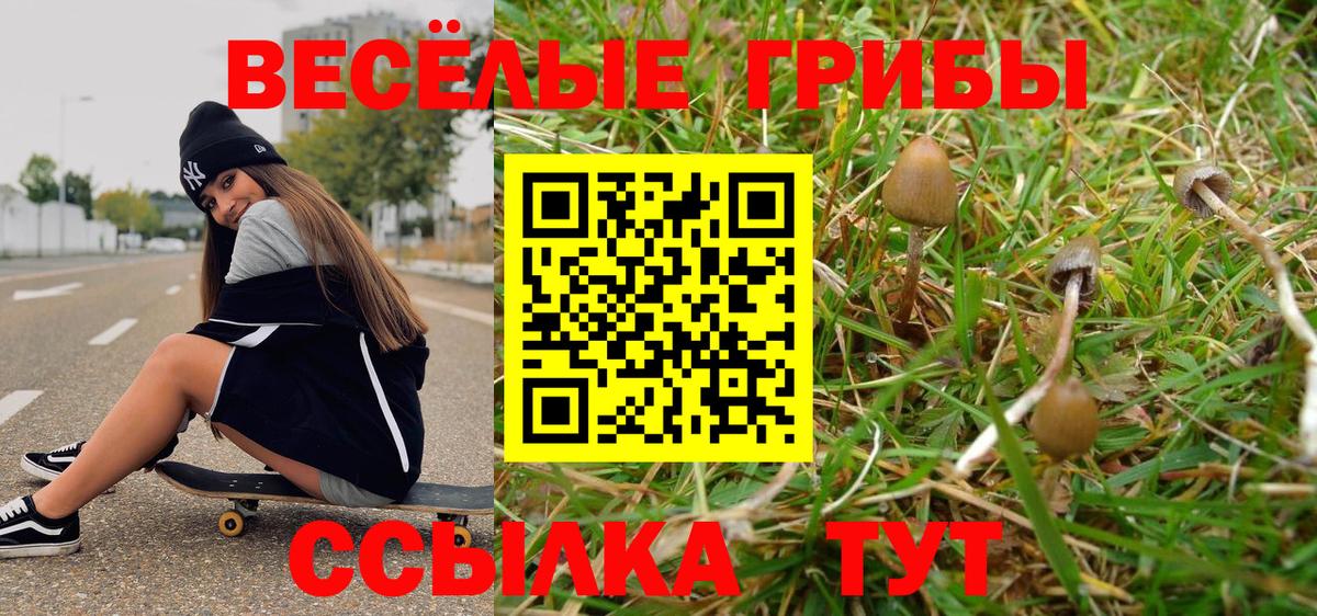 Псилоцибиновые грибы Psilocybe  Галлюциногенные грибы мицелий  Сургут  Вход с VPN 