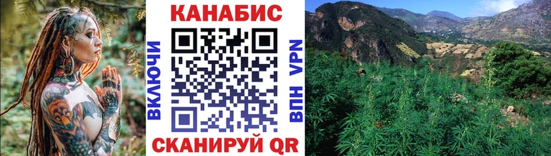 Марихуана гибрид  дарнет шоп  Сургут 